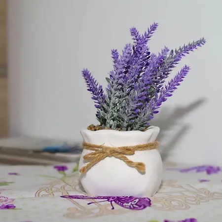 Casa Georgy Penzion Vama Veche