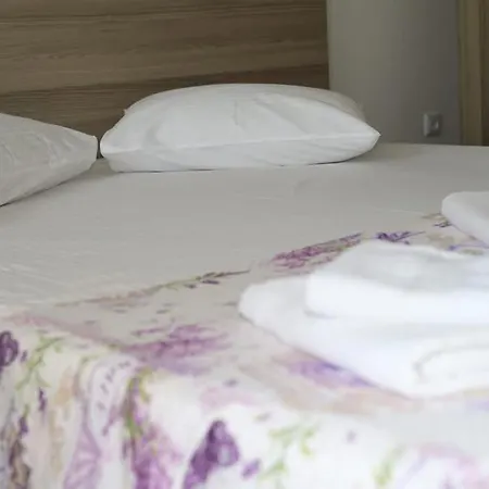 게스트하우스 Casa Georgy