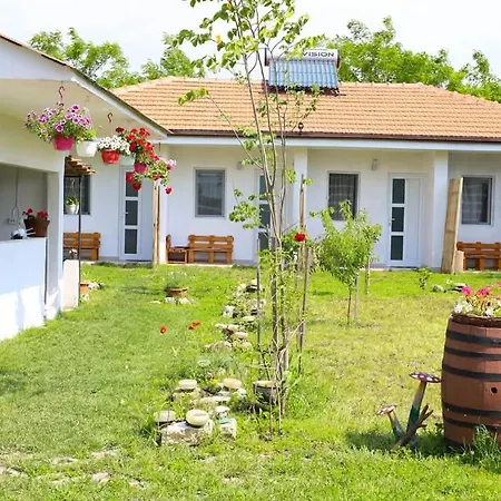 게스트하우스 Casa Georgy