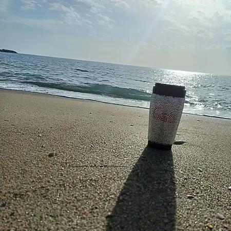 Casa Georgy 게스트하우스